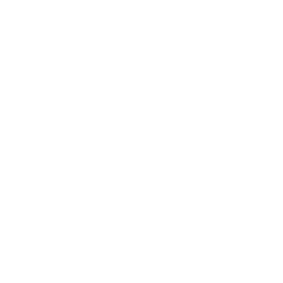 Ironing