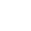 Wedding Dresses Icon